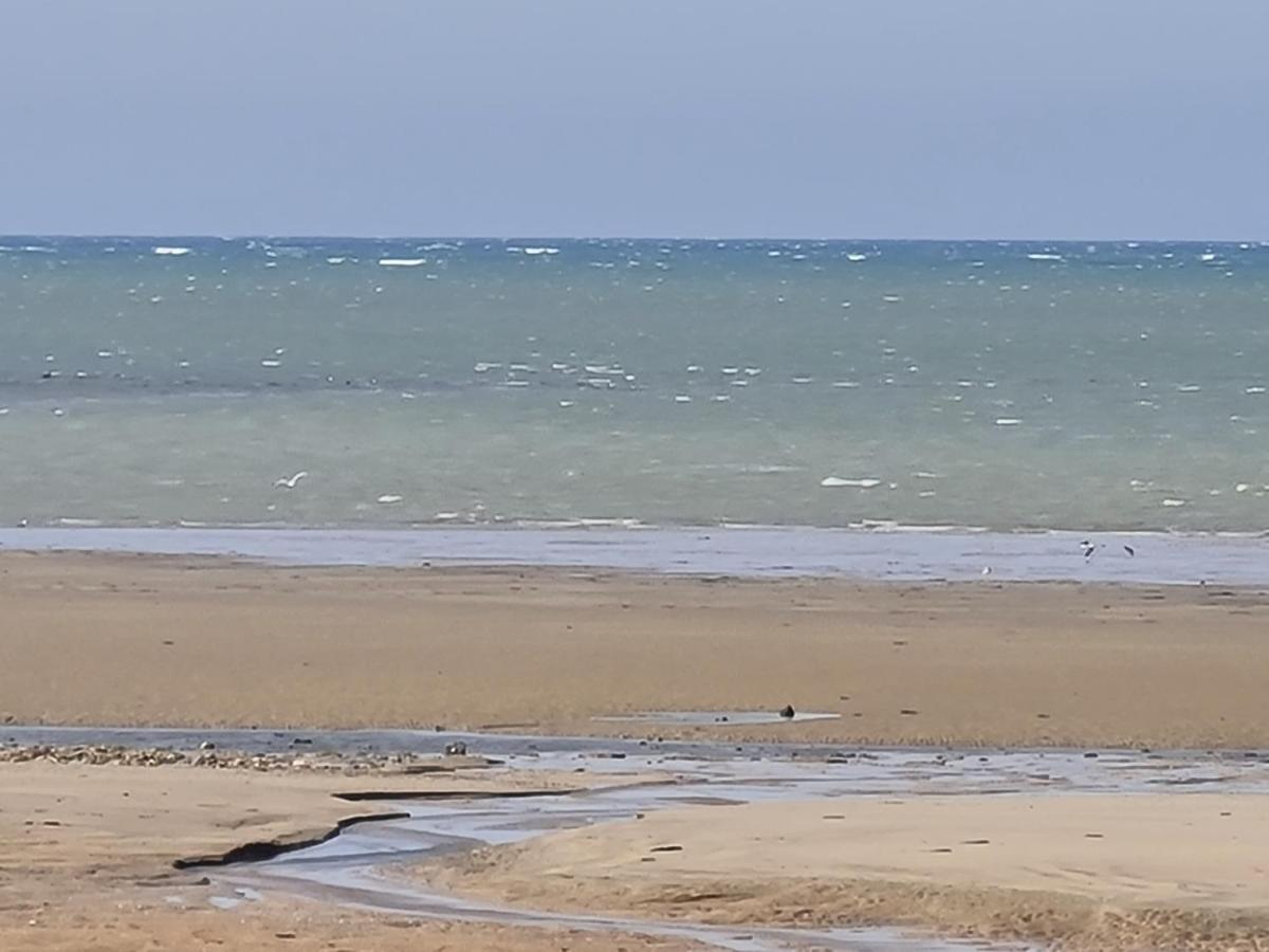 Les Pieds Dans L'Eau - Acces Direct A La Plage Bernières-sur-Mer Eksteriør bilde