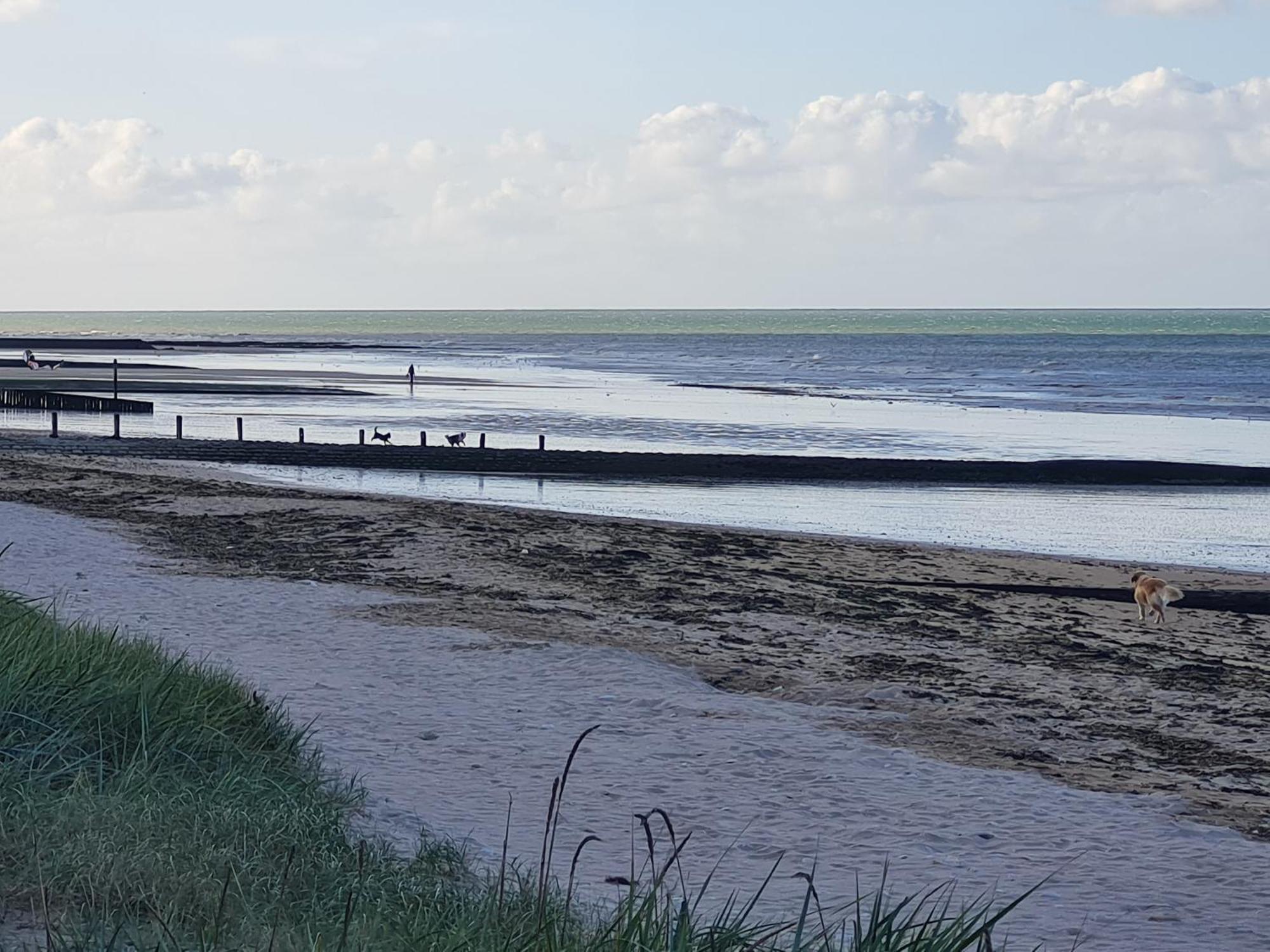 Les Pieds Dans L'Eau - Acces Direct A La Plage Bernières-sur-Mer Eksteriør bilde